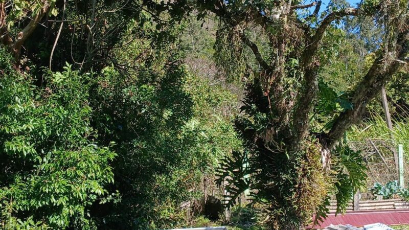 Ciclone extratropical causa estragos em Santo Antônio da Patrulha