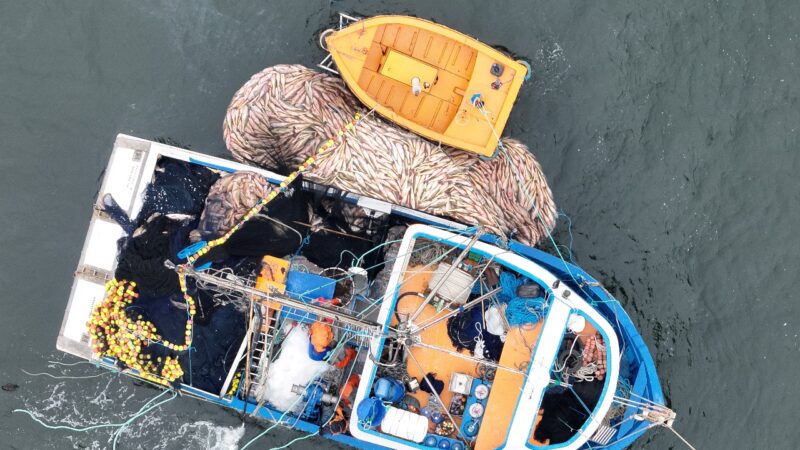 Brigada Militar e IBAMA flagram pesca ilegal no litoral norte gaúcho