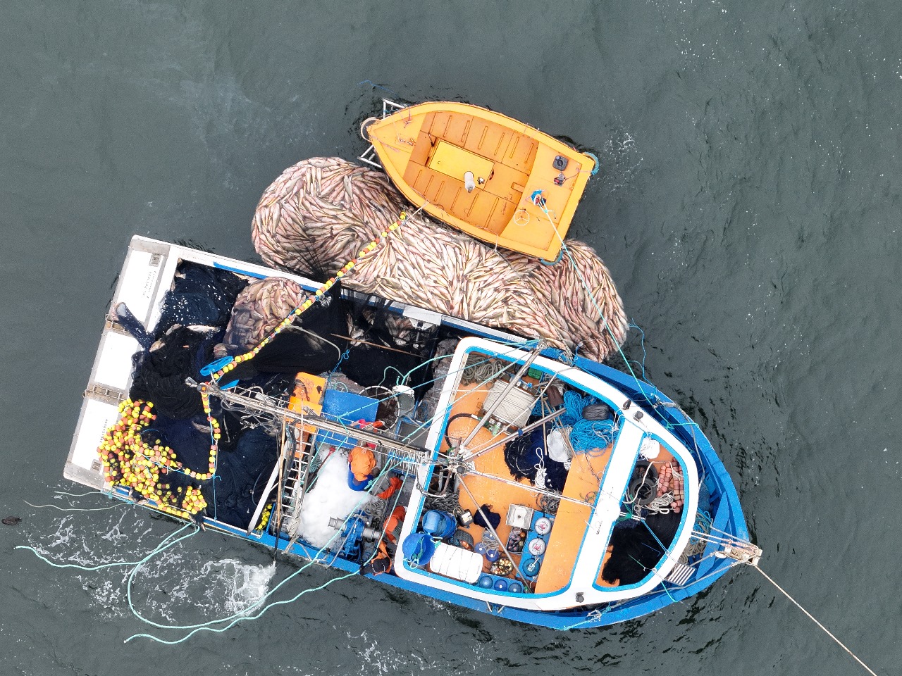 Brigada Militar e IBAMA flagram pesca ilegal no litoral norte gaúcho