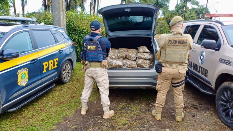 PRF e PMSC apreendem drogas e vinho em operações no Litoral Norte do RS e Sul de SC
