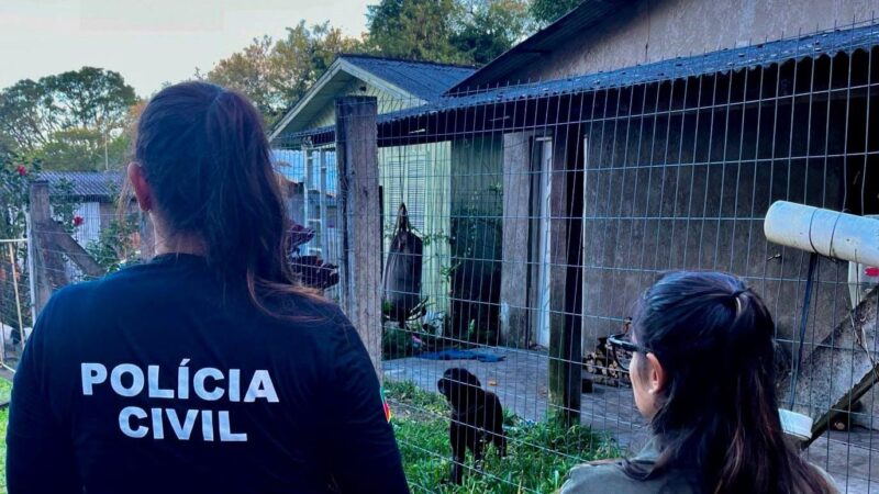 Polícia Civil fiscaliza locais de maus tratos contra animais domésticos e entrega abrigos para cães em Osório