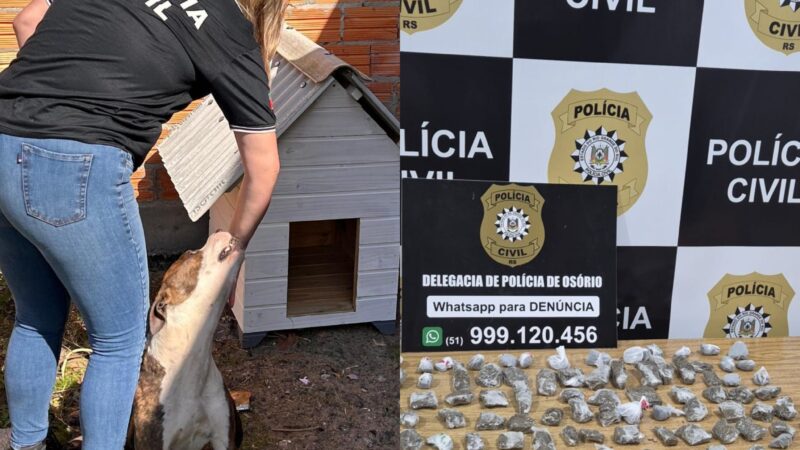 Polícia Civil de Osório fiscaliza maus-tratos contra animais e apreende adolescente por tráfico de drogas