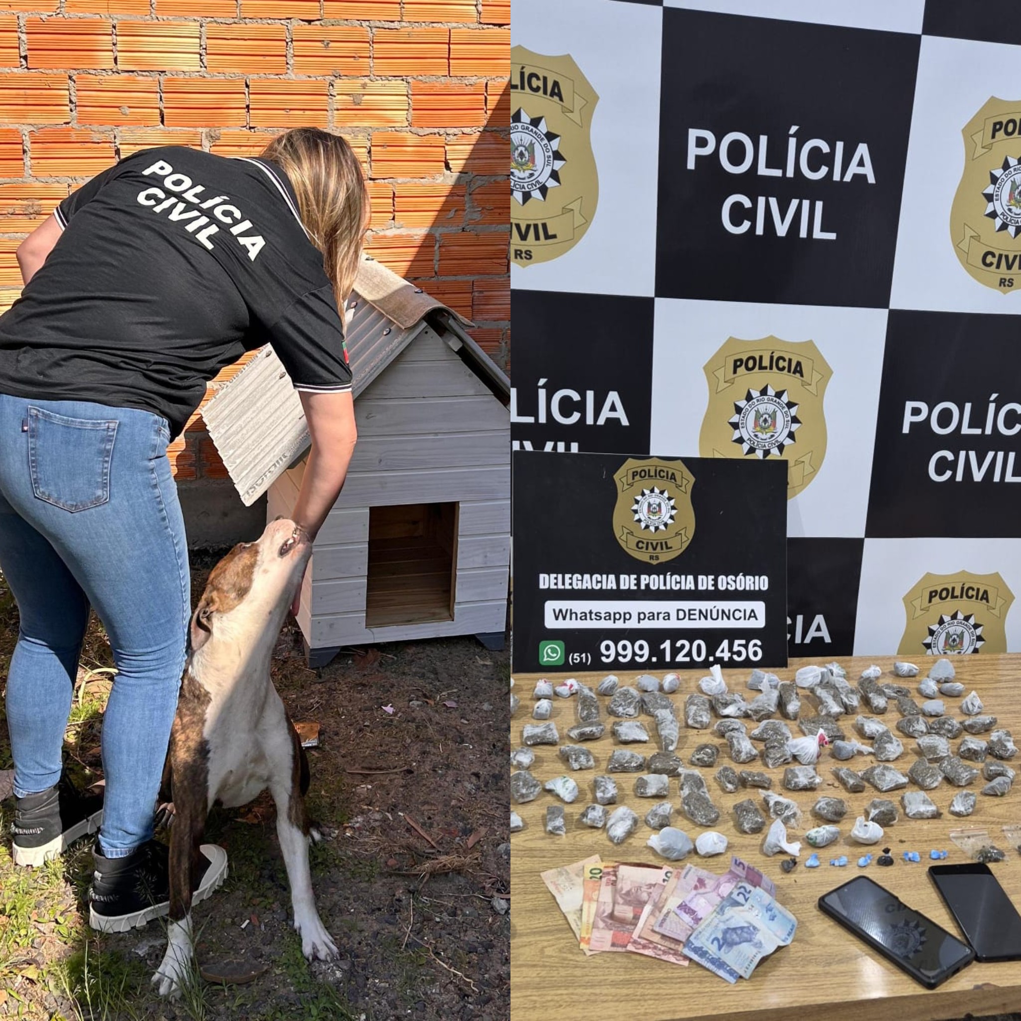 Polícia Civil de Osório fiscaliza maus-tratos contra animais e apreende adolescente por tráfico de drogas