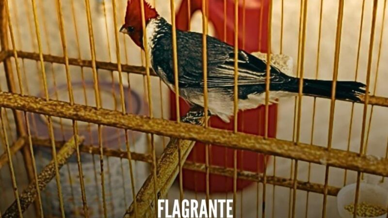 1° BABM realizou atendimento de denúncia em Capão da Canoa