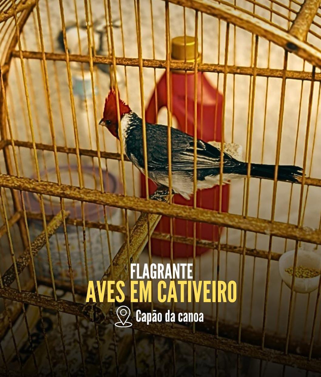 1° BABM realizou atendimento de denúncia em Capão da Canoa