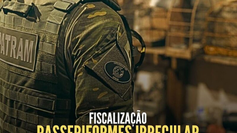 1° BABM fiscaliza criador de passeriformes irregular em Santo Antônio da Patrulha