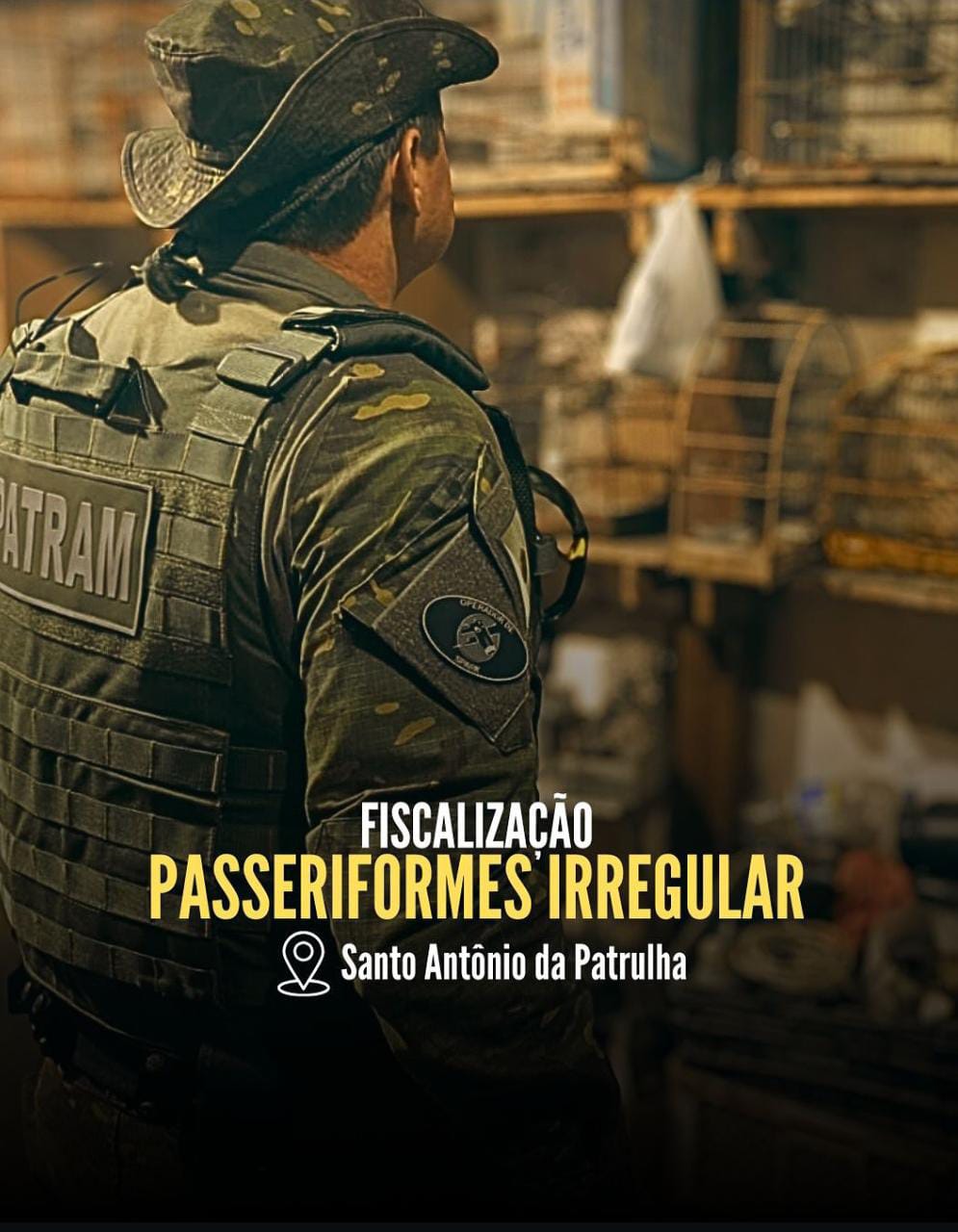 1° BABM fiscaliza criador de passeriformes irregular em Santo Antônio da Patrulha