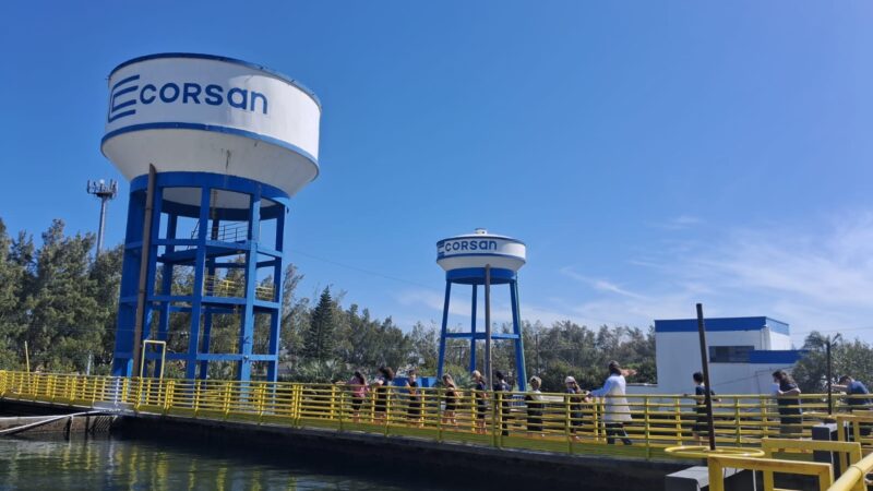 Alunos da Escola Tiradentes, de Imbé, participaram de programas ambientais da Corsan