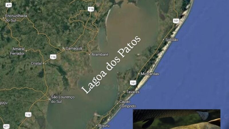 JFRS mantém proibição de pesca de bagres na Lagoa dos Patos