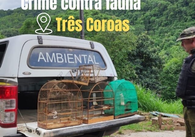 Brigada Militar efetua prisão por crime contra fauna no município de Três Coroas