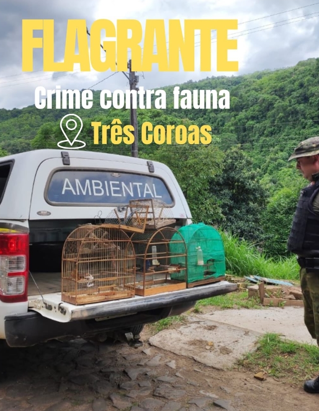 Brigada Militar efetua prisão por crime contra fauna no município de Três Coroas