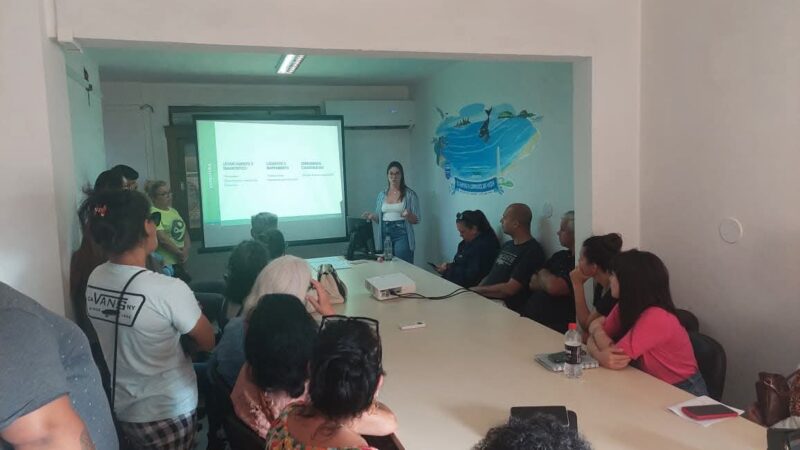 PROZAN é lançado para mapear e otimizar atendimento aos animais de rua em Torres