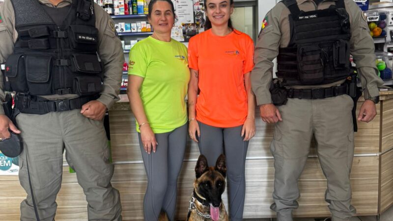 Clínica veterinária de Santo Antônio da Patrulha auxilia no tratamento da cadela Maya do Canil Regional do CRPO Litoral