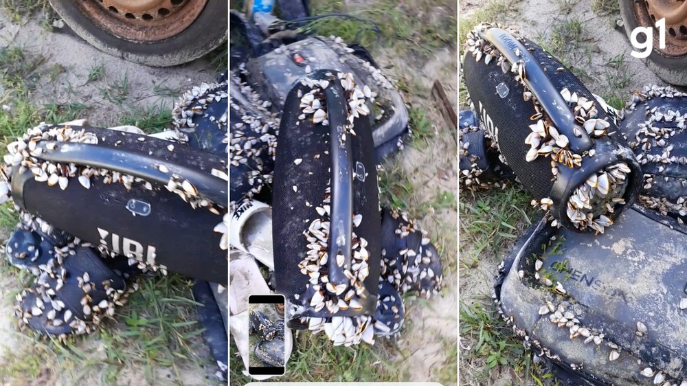 Caixa de som sobrevive ao oceano e é encontrada funcionando no litoral norte do RS