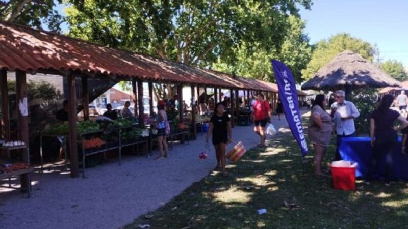 Feira do Produtor mais antiga do litoral completa 40 anos e integra Operação Verão Total no Litoral Sul com mais atrações