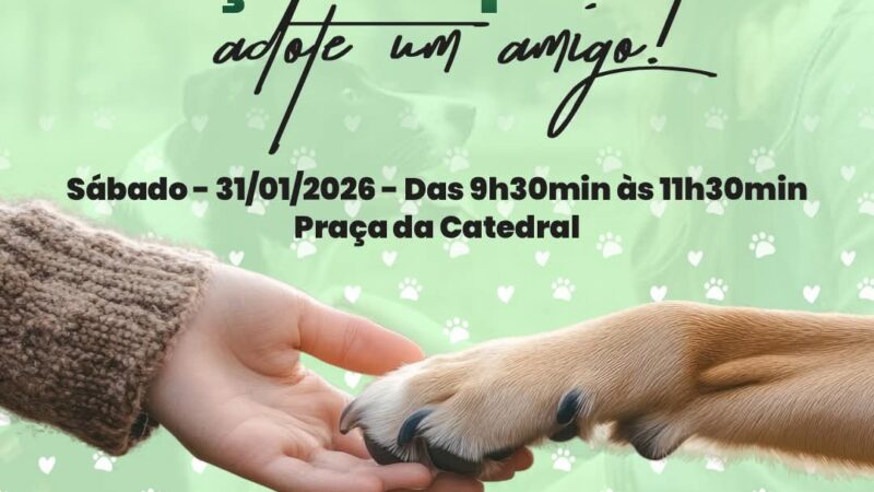 PREFEITURA DE OSÓRIO REALIZA FEIRA DE ADOÇÃO DE CÃES NO PRÓXIMO SÁBADO