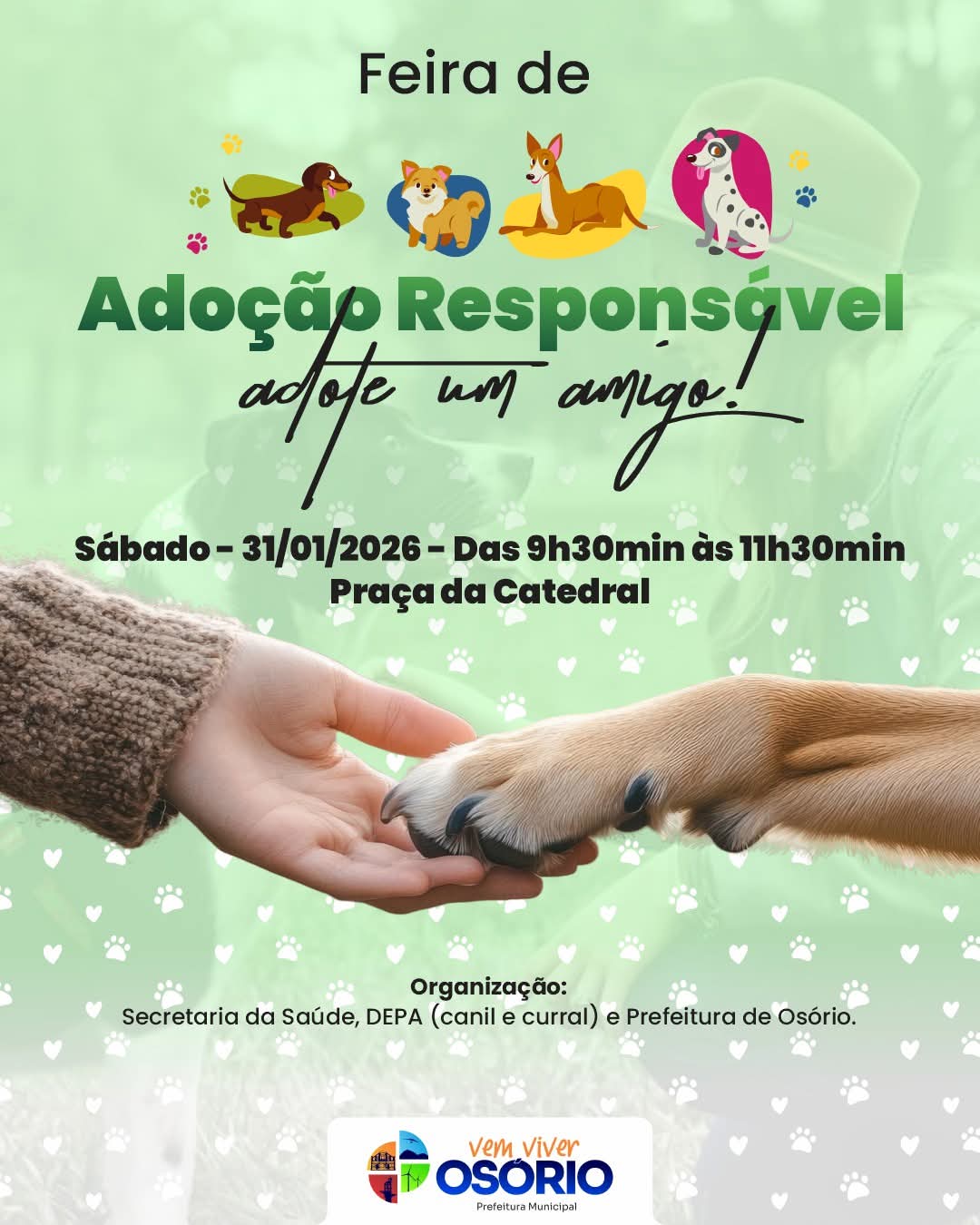 PREFEITURA DE OSÓRIO REALIZA FEIRA DE ADOÇÃO DE CÃES NO PRÓXIMO SÁBADO