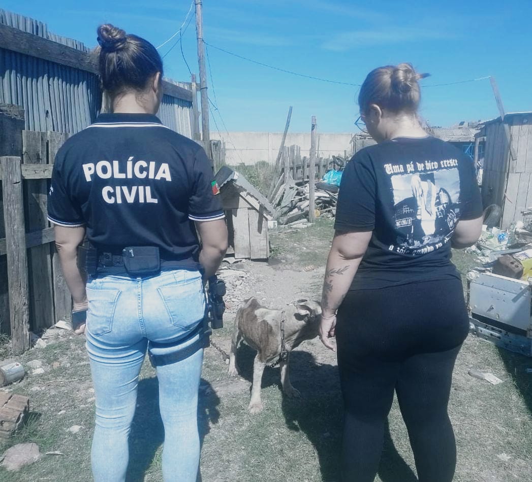 Polícia Civil e DEPA realizam ações contra maus tratos de animais no distrito de Atlântida Sul, em Osório