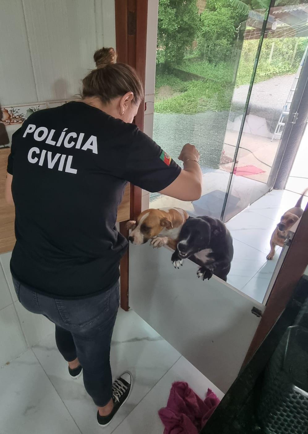 Polícia Civil fiscaliza locais de maus tratos contra animais domésticos em Osório