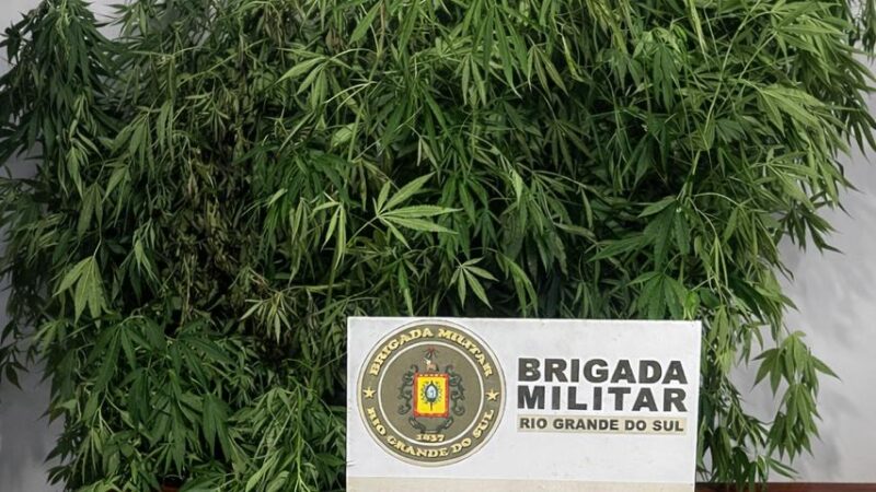 Homem é preso por tráfico de drogas em Torres