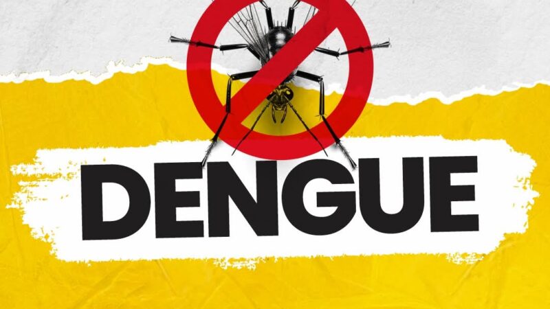 VIGILÂNCIA AMBIENTAL ALERTA PARA O AUMENTO NO NÚMERO DE FOCOS DO MOSQUITO DA DENGUE EM OSÓRIO