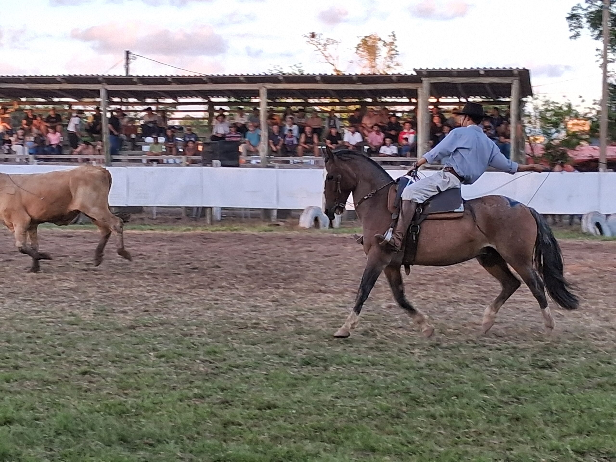 Homenagens e mais de 15 categorias de prova de laço marcam o 13° Rodeio Crioulo de Passinhos