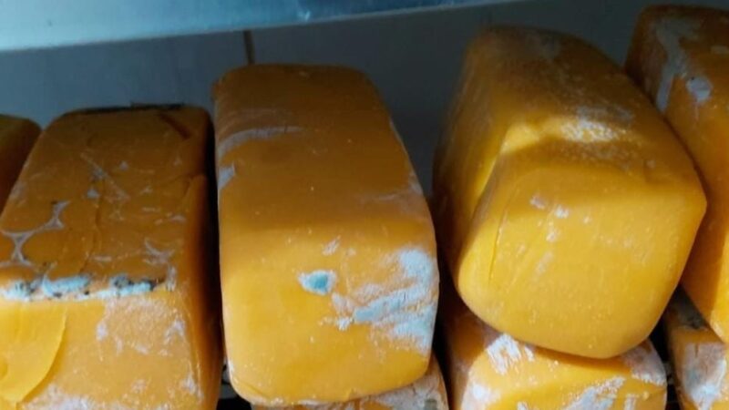 Vigilância Sanitária apreende 500 kg de alimentos impróprios em Osório e Atlântida Sul