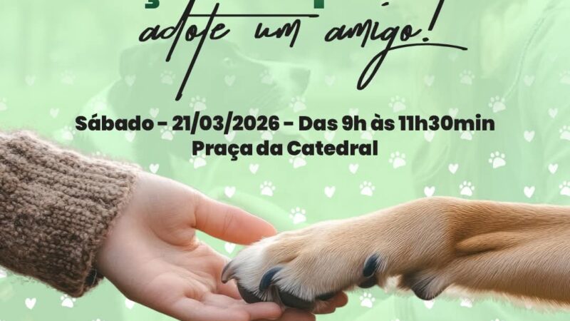 FEIRA DE ADOÇÃO RESPONSÁVEL SERÁ REALIZADA NESTE SÁBADO EM OSÓRIO