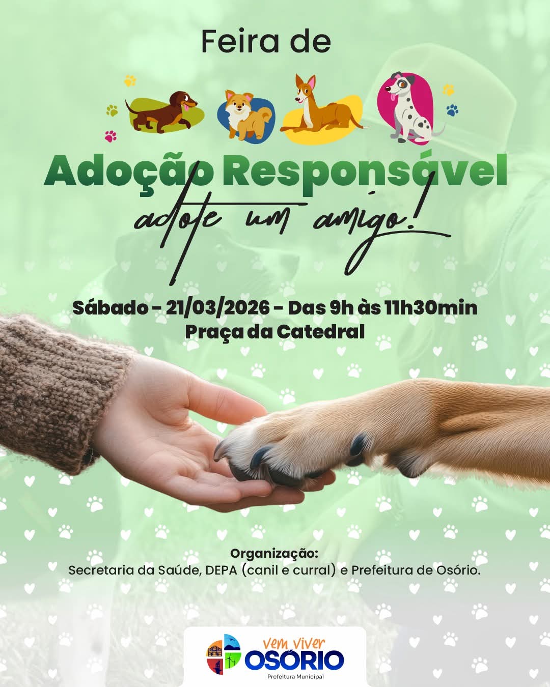 FEIRA DE ADOÇÃO RESPONSÁVEL SERÁ REALIZADA NESTE SÁBADO EM OSÓRIO