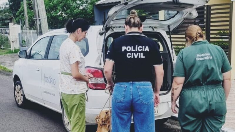 Polícia Civil prende autor de maus tratos contra cão doméstico em Osório