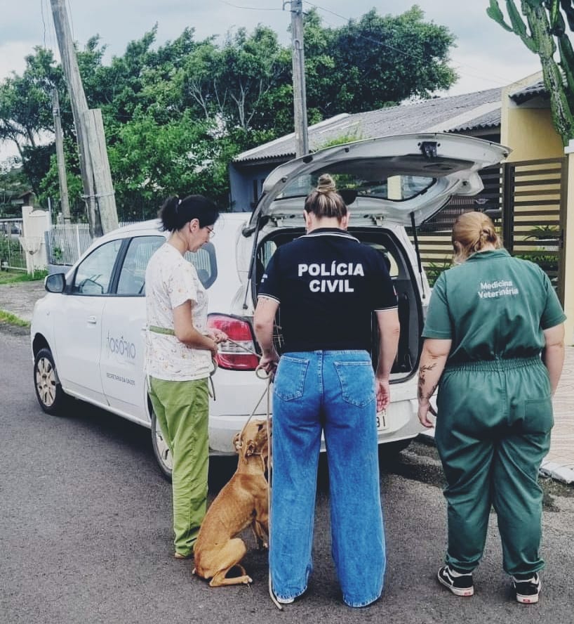 Polícia Civil prende autor de maus tratos contra cão doméstico em Osório