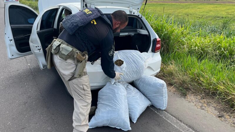 PRF, BM e CPRv BM apreendem carga de skunk em ação conjunta no Litoral Norte
