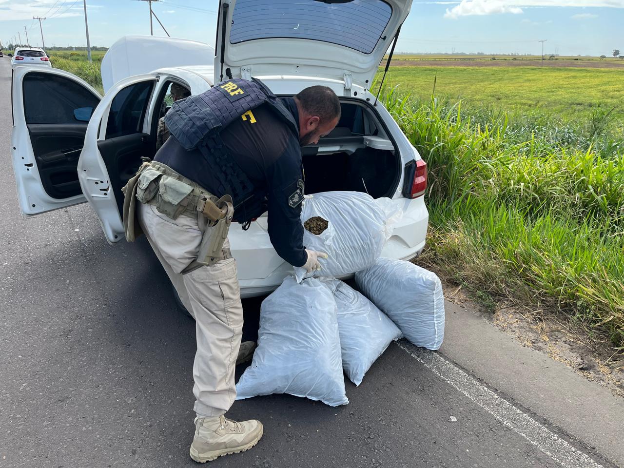 PRF, BM e CPRv BM apreendem carga de skunk em ação conjunta no Litoral Norte