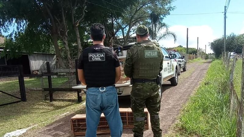 Polícia Civil e Patram realiza ação contra crimes ambientais em Osório