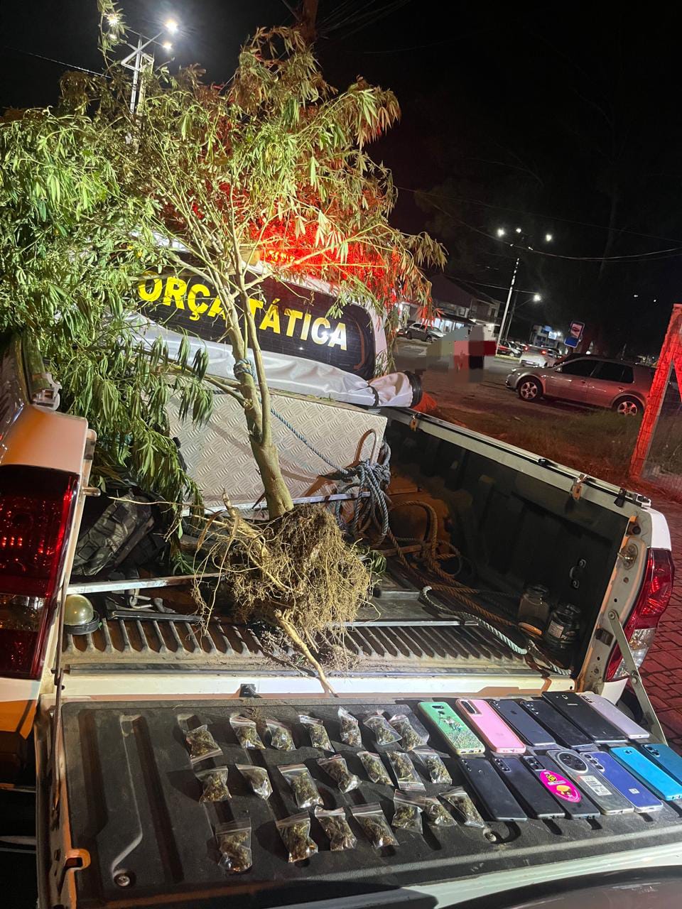 INDIVÍDUO É PRESO POR TRÁFICO DE ENTORPECENTES EM CIDREIRA