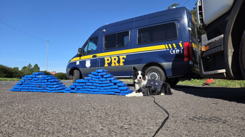 PRF apreende mais de 100 quilos de drogas com ajuda dos cães farejadores em Osório