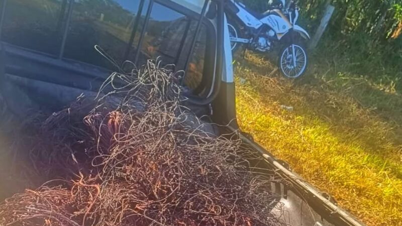 BM PRENDE DUPLA POR CRIME AMBIENTAL E APREENDE 140 QUILOS DE COBRE EM SANTO ANTÔNIO DA PATRULHA
