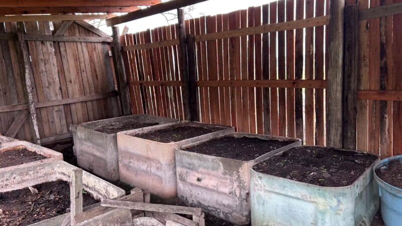 Projeto transforma resíduos da merenda escolar em adubo e fortalece sustentabilidade em Balneário Pinhal