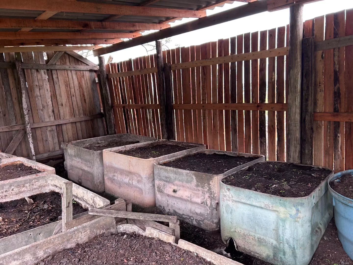 Projeto transforma resíduos da merenda escolar em adubo e fortalece sustentabilidade em Balneário Pinhal