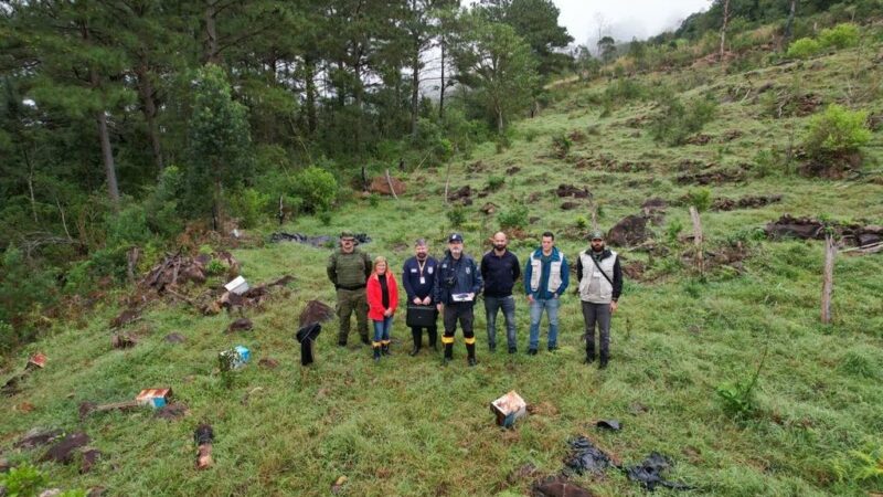 Operação Mata Atlântica em Pé identifica 100 hectares de desmatamento e aponta mais de R$ 24 milhões em danos ambientais no RS