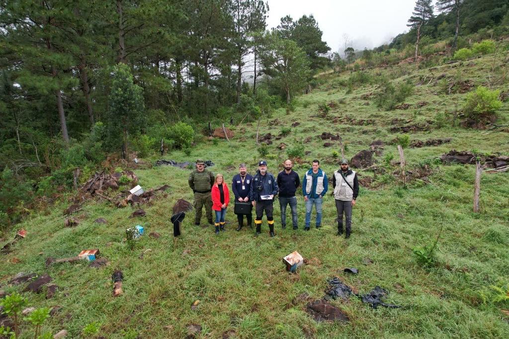 Operação Mata Atlântica em Pé identifica 100 hectares de desmatamento e aponta mais de R$ 24 milhões em danos ambientais no RS