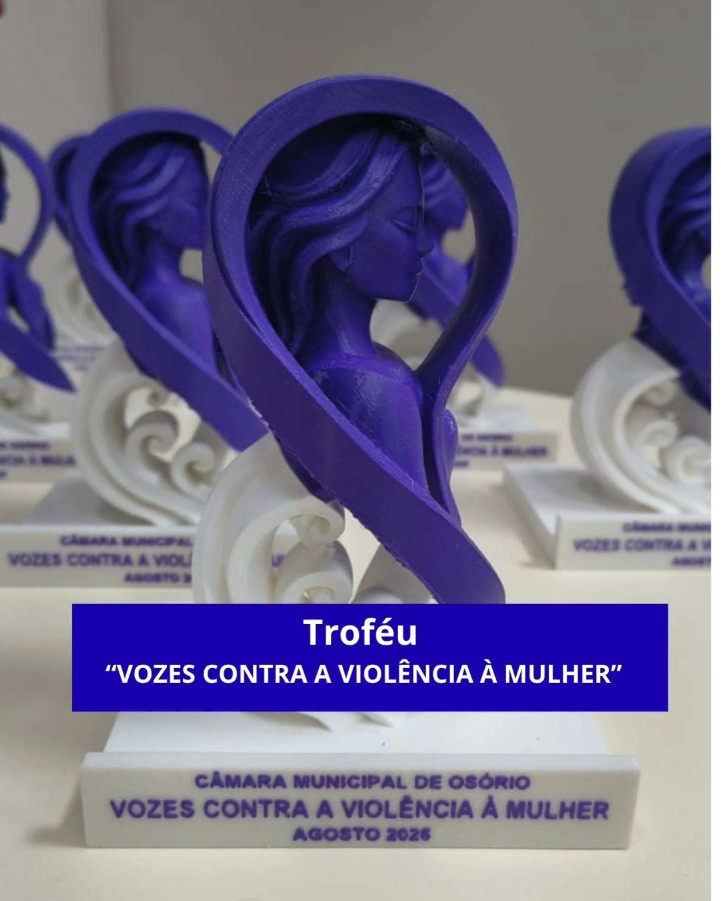 Câmara de Osório homenageia mulheres em Sessão Solene