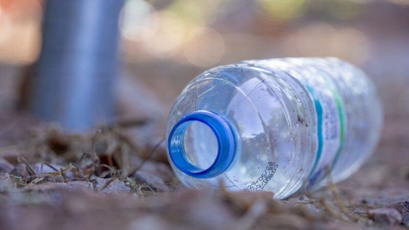 Corsan mobiliza dez cidades gaúchas pelo Dia Mundial da Limpeza