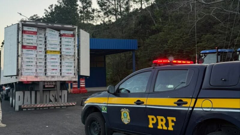PRF apreende 18,8 toneladas de peixes transportados irregularmente na BR-101, em Osório