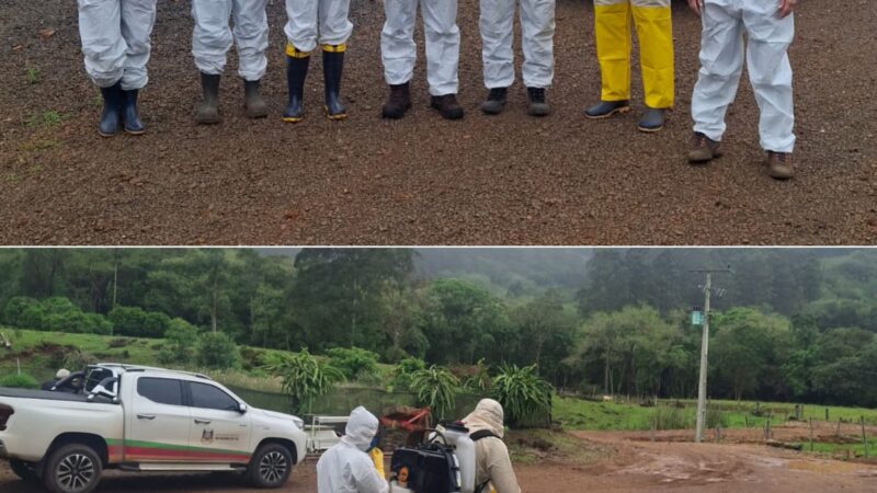 Três Forquilhas recebe projeto-piloto para estudar maruim e buscar formas de controle do inseto