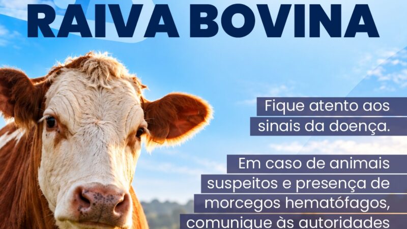 Caso de raiva em bovino no município de Osório reforça cuidados no campo