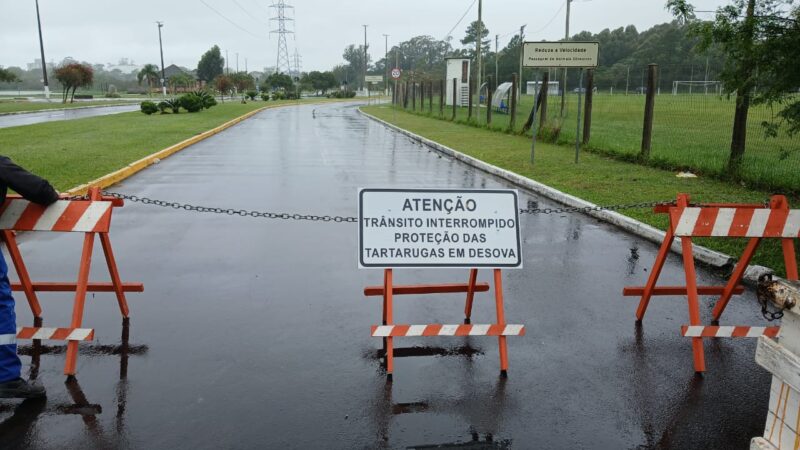 Rua é parcialmente bloqueada para proteger tartarugas durante período de desova em Osório