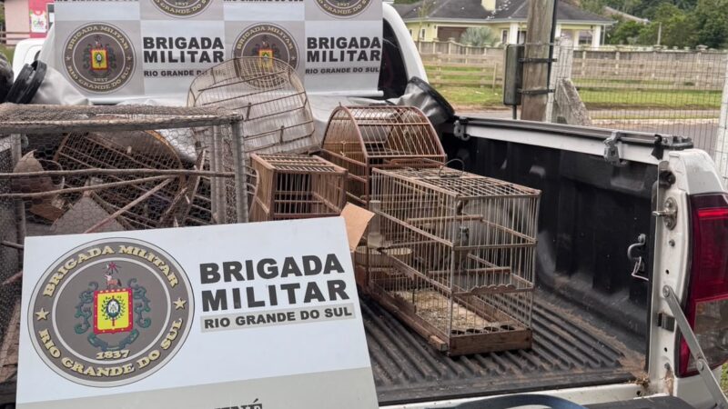 BRIGADA MILITAR APREENDE ARMA E MUNIÇÕES DURANTE OPERAÇÃO DE FISCALIZAÇÃO EM RECICLAGENS EM MAQUINÉ
