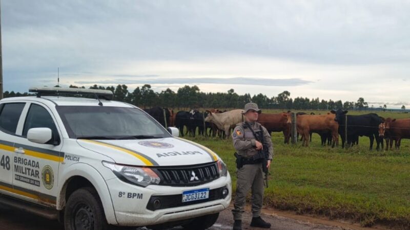 Operação da Brigada Militar termina com quatro presos e apreensão de drogas em Osório